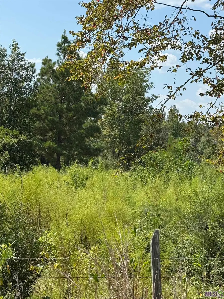 00 Alex Rd, Gloster, MS 39638 - Image #3