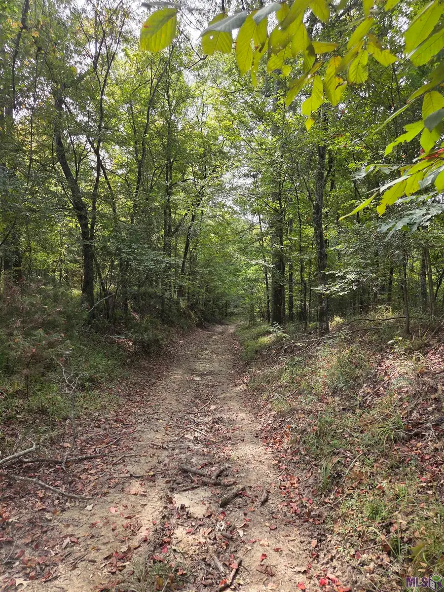 TBD Como Rd, Saint Francisville, LA 70775 - Image #2