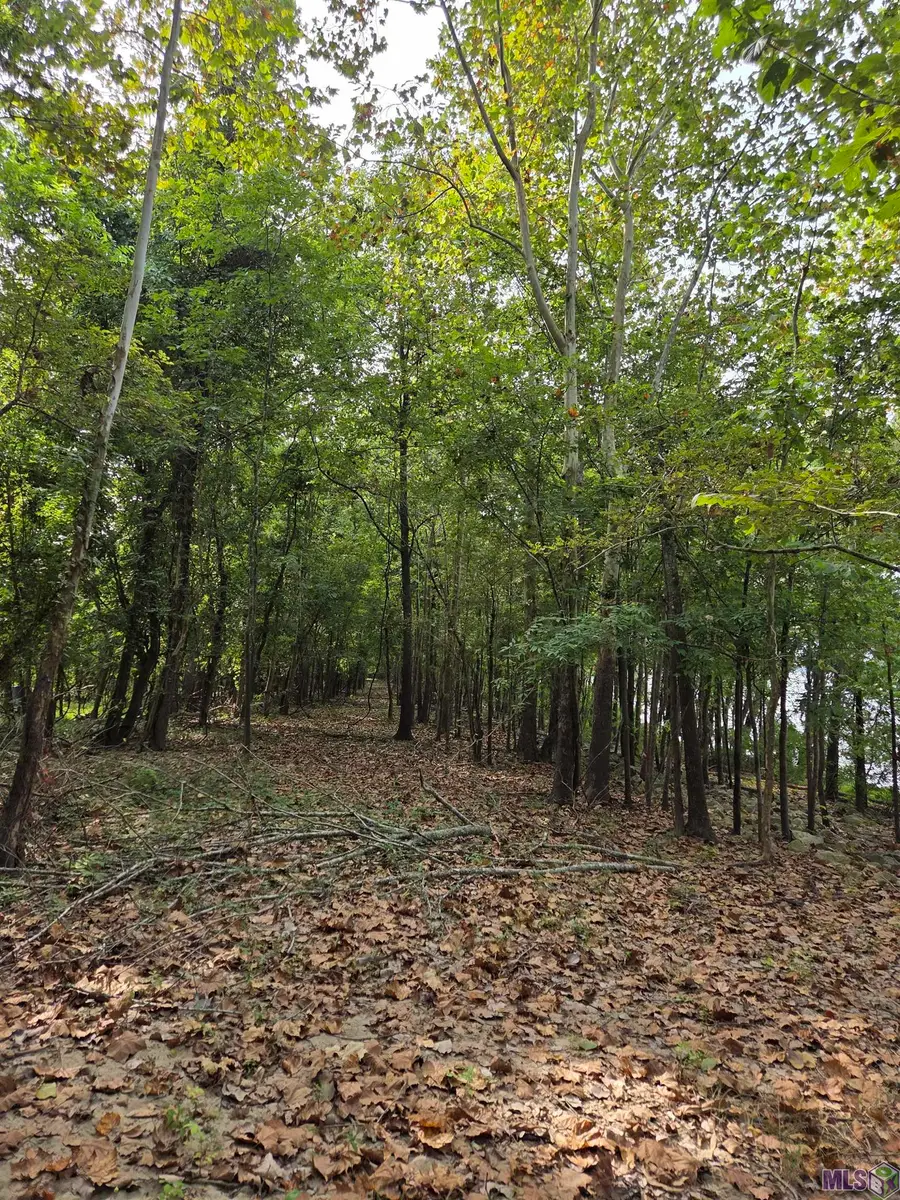TBD Como Rd, Saint Francisville, LA 70775 - Image #3