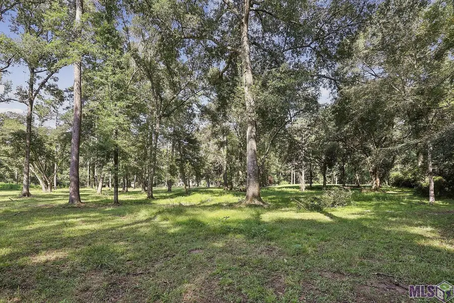 10107 Long Leaf Lane, Saint Francisville, LA 70775 - Image #3
