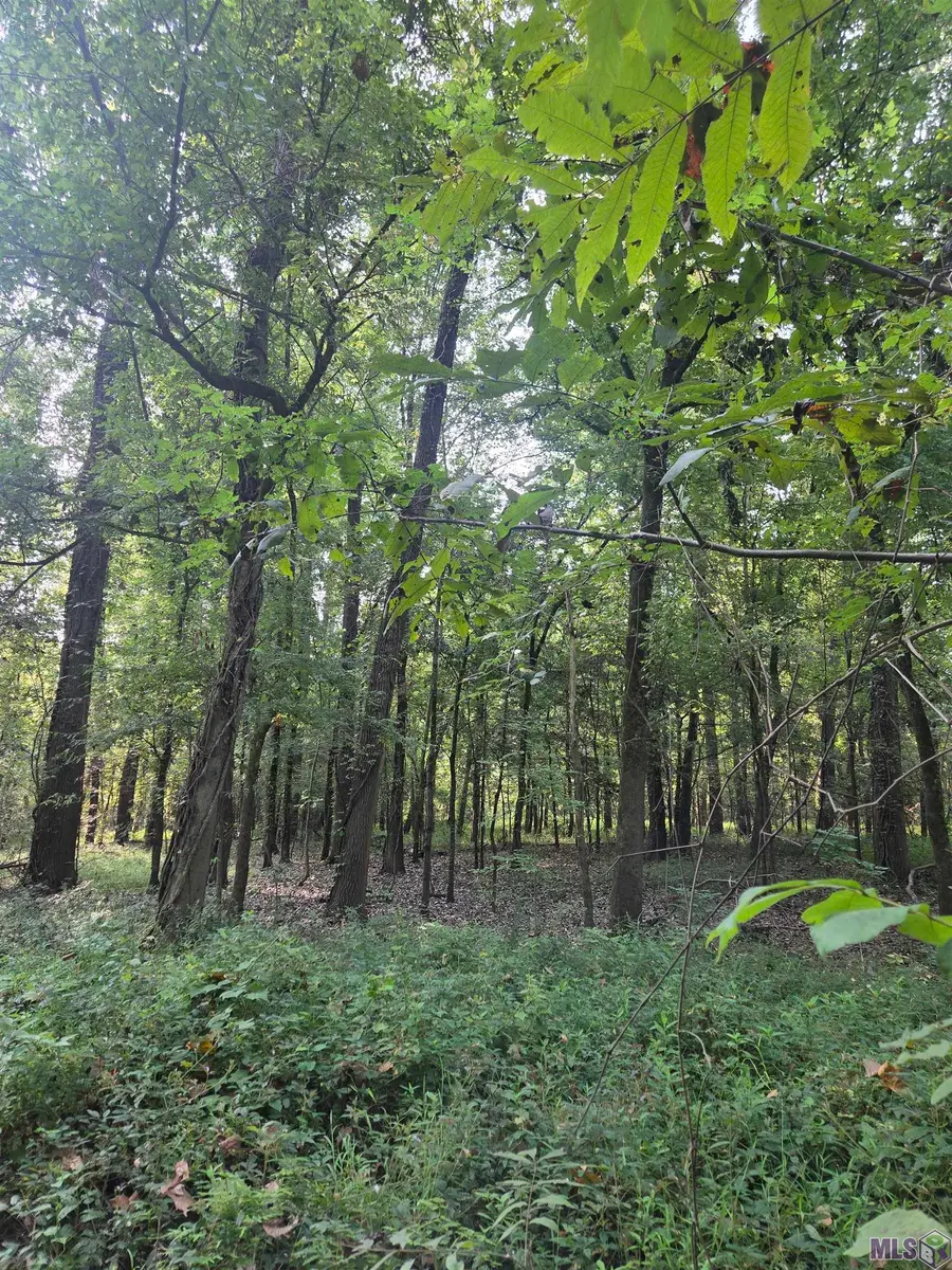 4914 Cat Island Rd, Saint Francisville, LA 70775 - Image #2