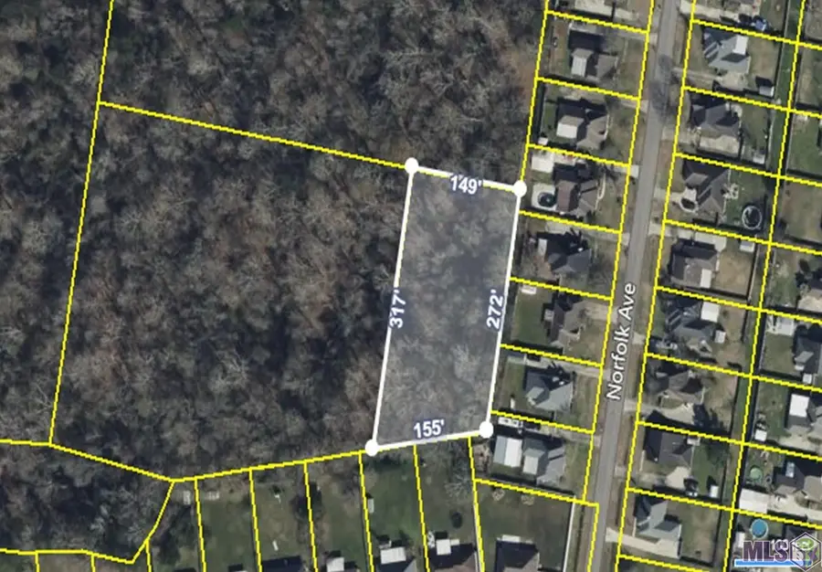 TBD Uti Moore Rd, Denham Springs, LA 70706 - Image #2