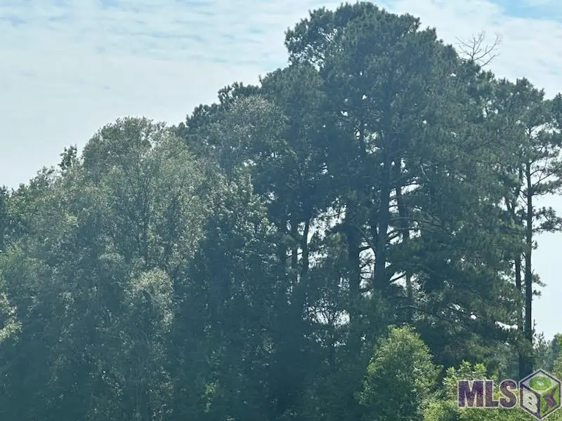 TBD Uti Moore Rd, Denham Springs, LA 70706 - Image #3