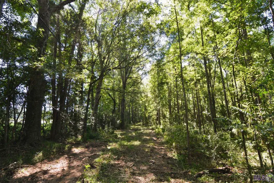 8225 Tunica Trace, Saint Francisville, LA 70775 - Image #3