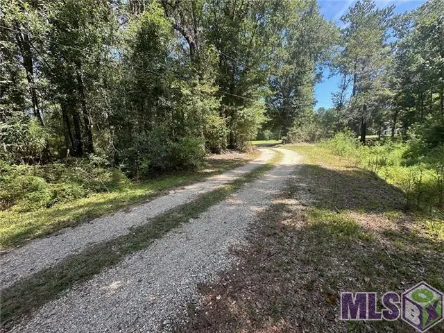 TBD Tract 4 Ragusa Road, Independence, LA 70443 - Image #1
