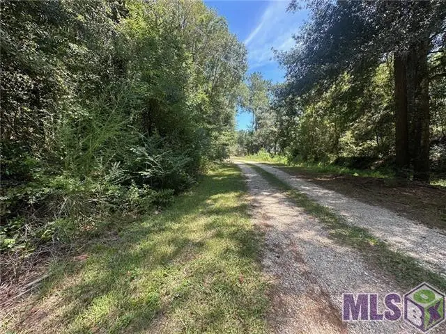 TBD Tract 4 Ragusa Road, Independence, LA 70443 - Image #2