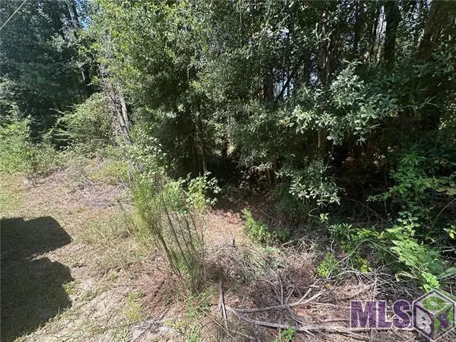 TBD Tract 4 Ragusa Road, Independence, LA 70443 - Image #3