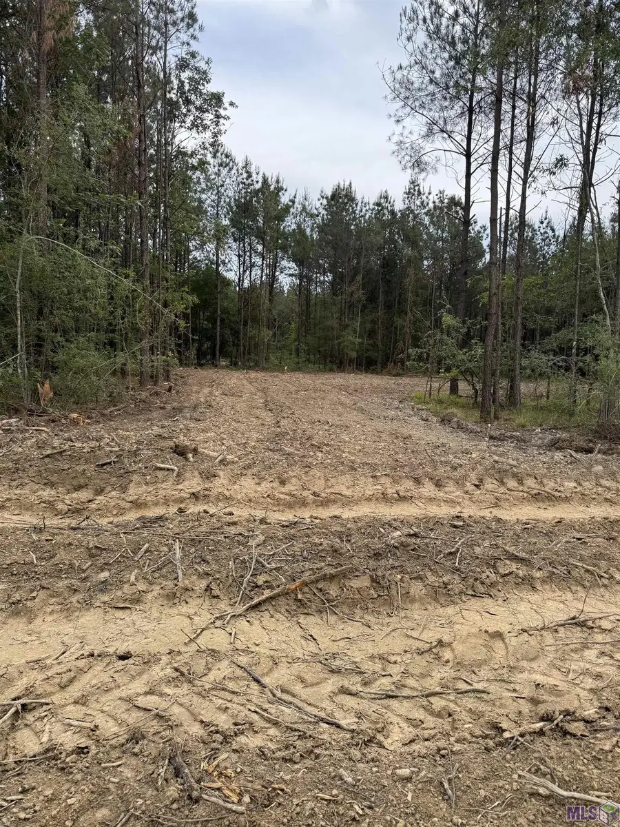 Lot 16 Honey Grove, Livingston, LA 70754 - Image #3