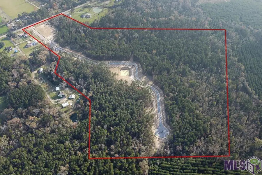 18413 Settlement Trace, Livingston, LA 70754 - Image #2