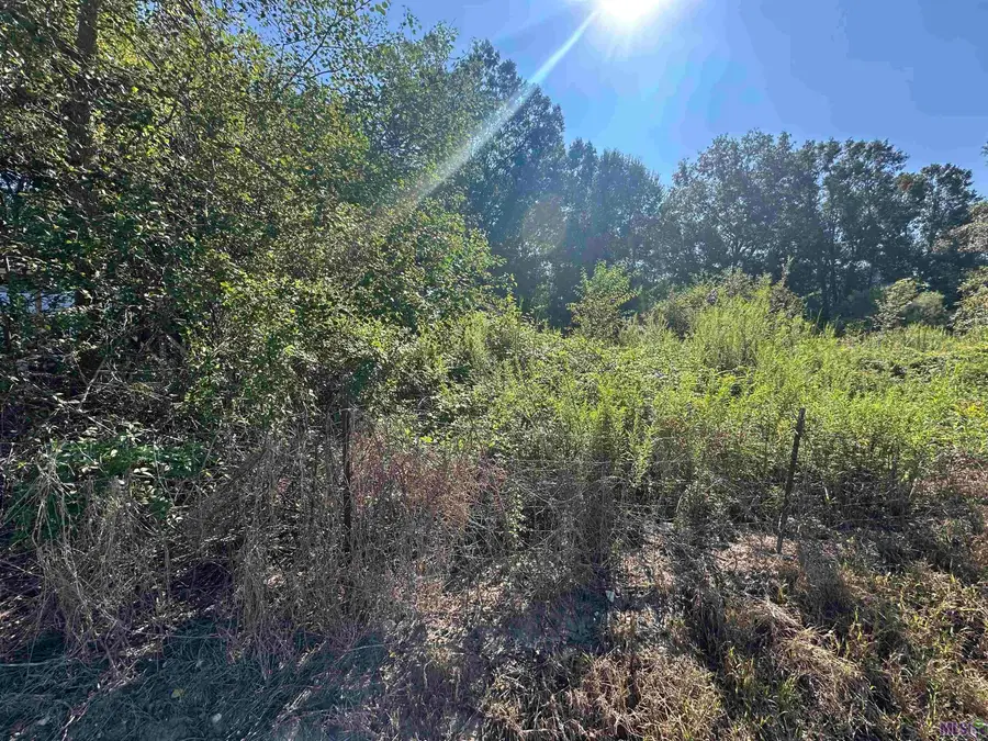 9476 Rod Anderson Rd, Saint Amant, LA 70774 - Image #3