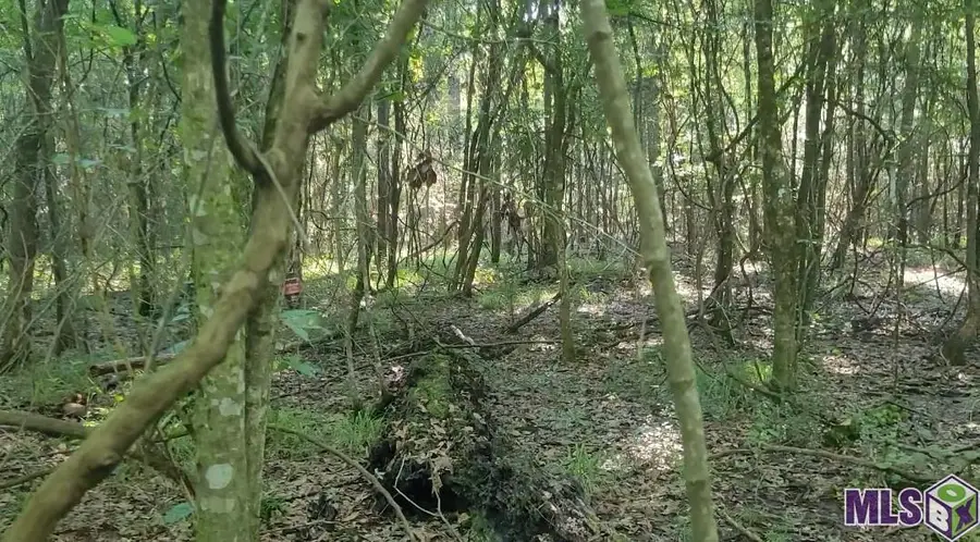 26799-26355 Greenwell Springs Rd, Greenwell Springs, LA 70739 - Image #2