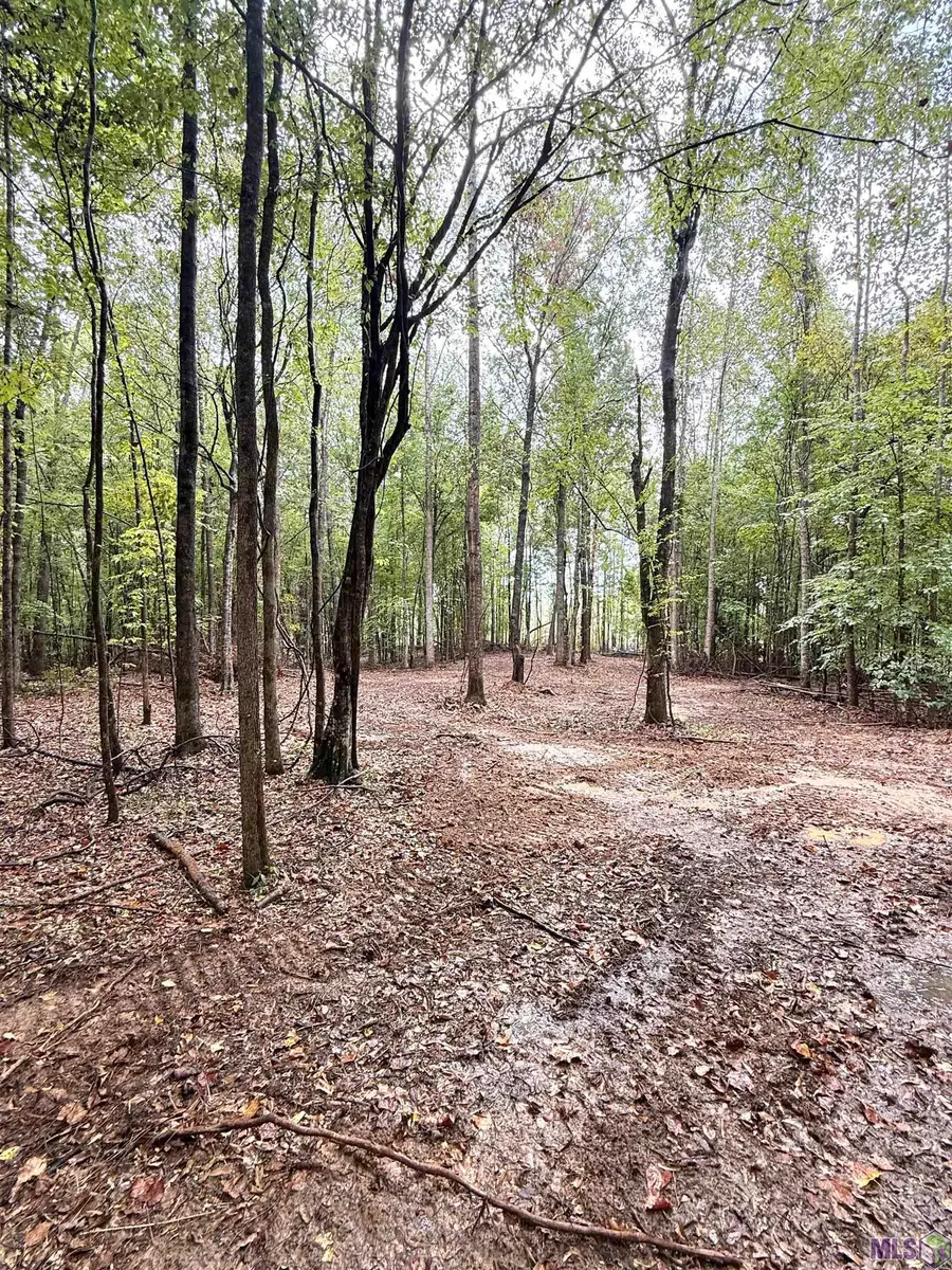 8145 Gordon Station Road, Port Gibson, MS 39150 - Image #2