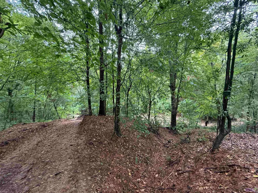 8145 Gordon Station Road, Port Gibson, MS 39150 - Image #3