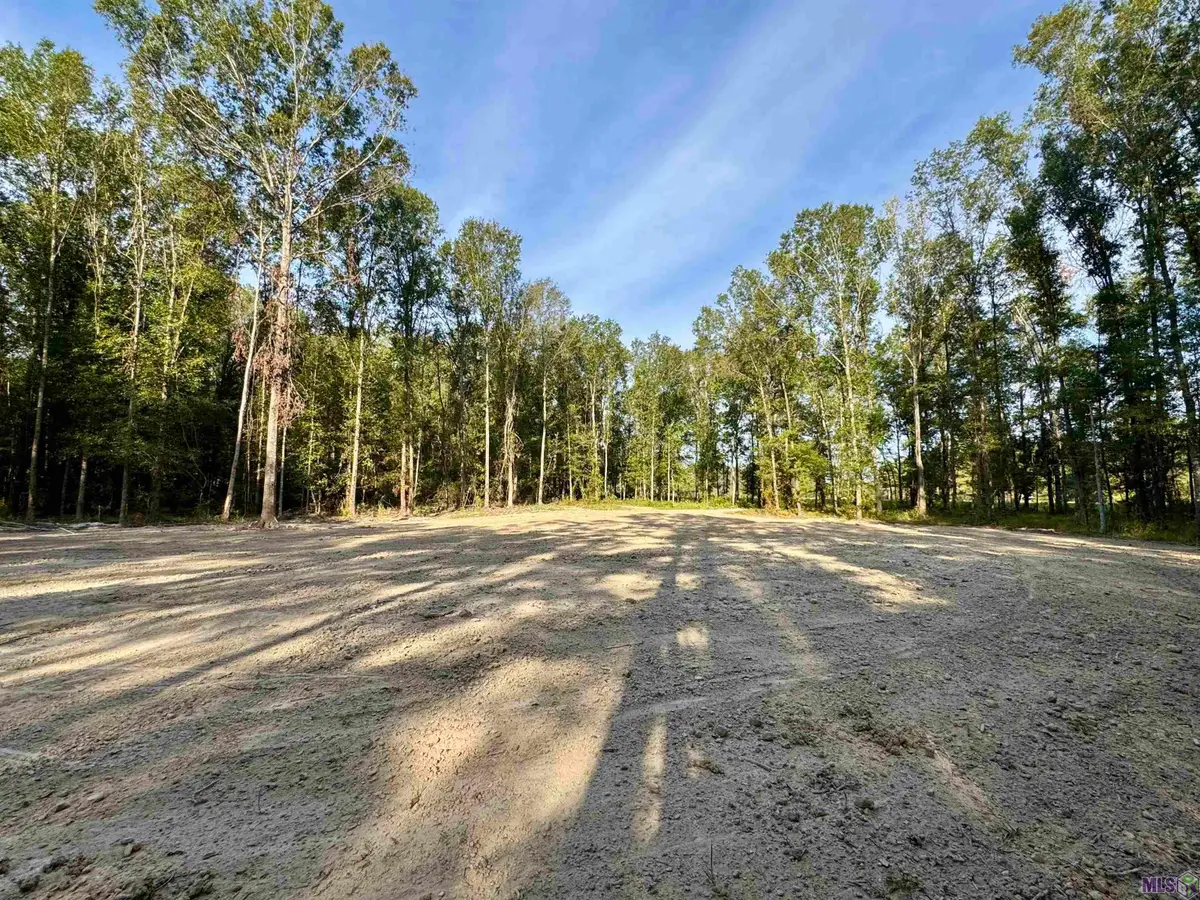 SF-10 La Hwy 16, Denham Springs, LA 70706 - Image #1