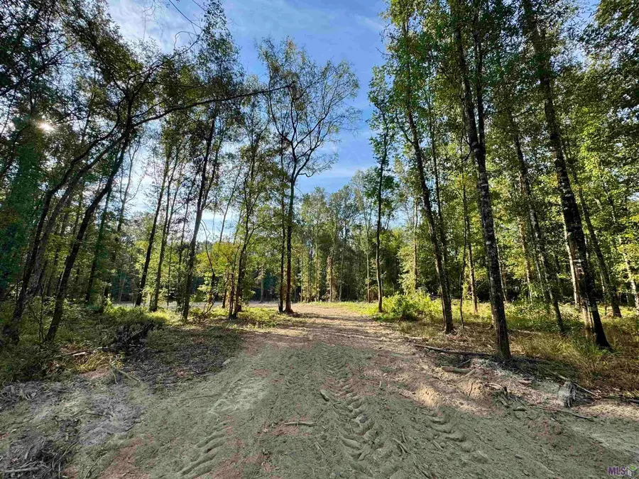 SF-10 La Hwy 16, Denham Springs, LA 70706 - Image #2