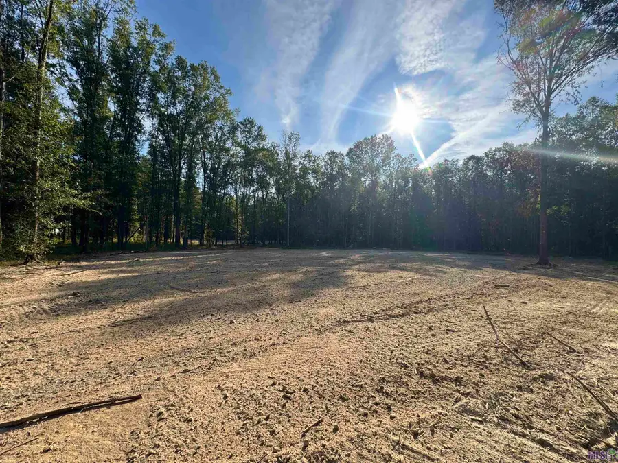 SF-10 La Hwy 16, Denham Springs, LA 70706 - Image #3