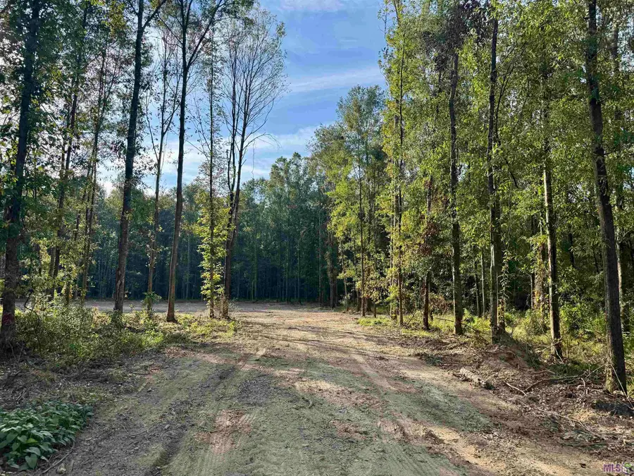 SF-11 La Hwy 16, Denham Springs, LA 70706 - Image #2