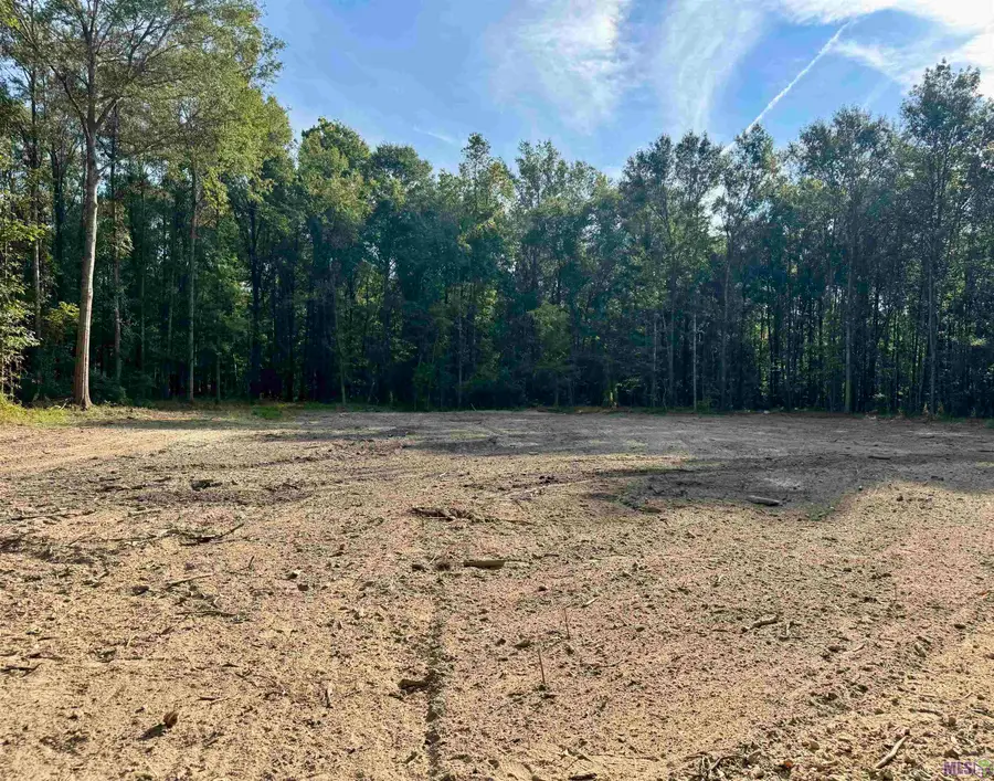 SF-11 La Hwy 16, Denham Springs, LA 70706 - Image #3