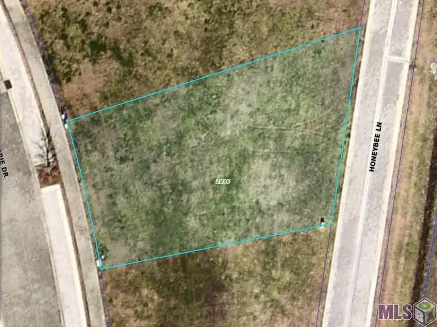 2836 Pointe-marie Dr, Baton Rouge, LA 70820 - Image #2