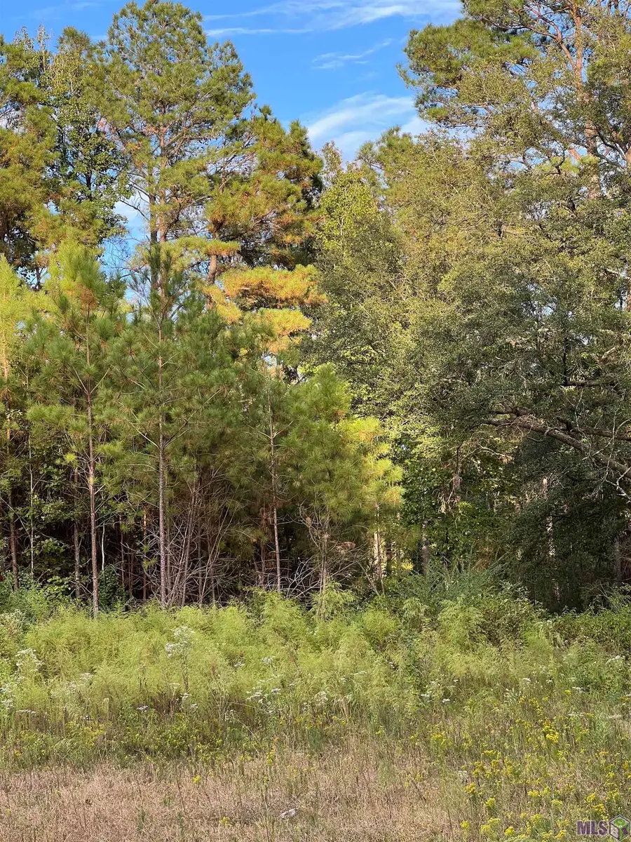 TBD La Hwy 63, Clinton, LA 70722 - Image #2