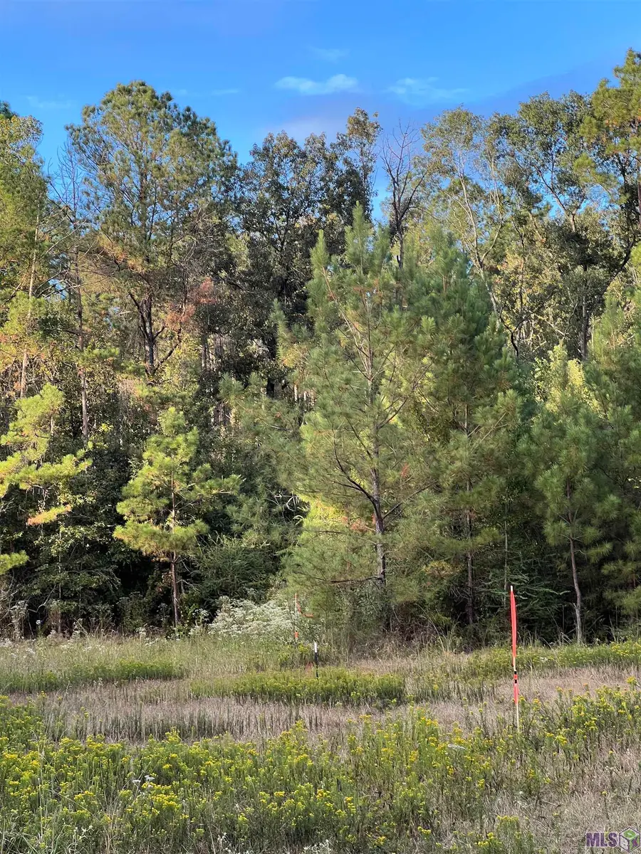 TBD La Hwy 63, Clinton, LA 70722 - Image #3