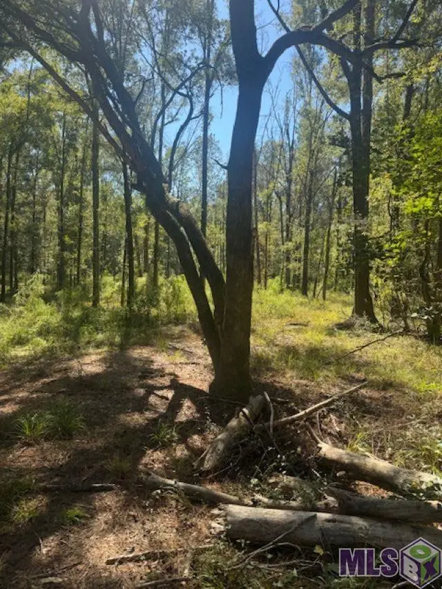 Otto Odom Cir, Denham Springs, LA 70706 - #1