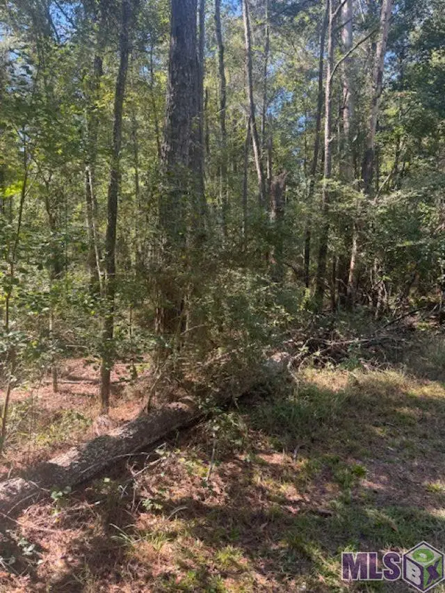 Otto Odom Cir, Denham Springs, LA 70706 - #2