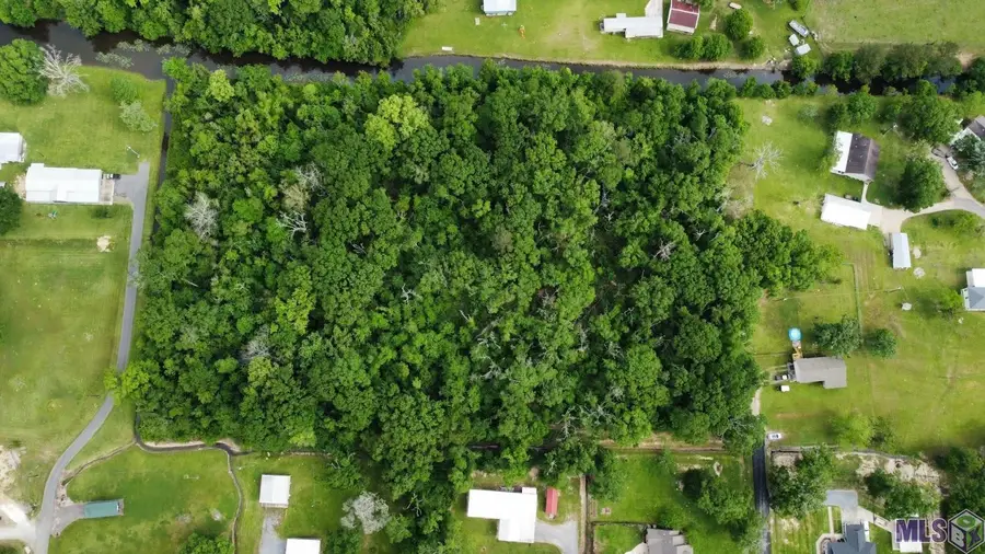 12227 Dan Bourgeois Rd, Saint Amant, LA 70774 - Image #2