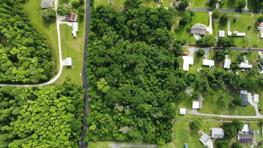 12227 Dan Bourgeois Rd, Saint Amant, LA 70774 - Image #3