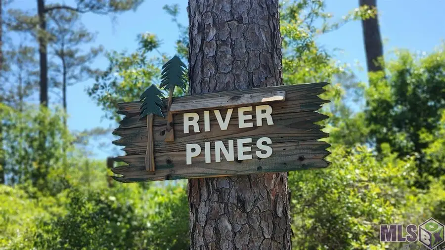 31531 River Pines Dr, Springfield, LA 70462 - Image #2
