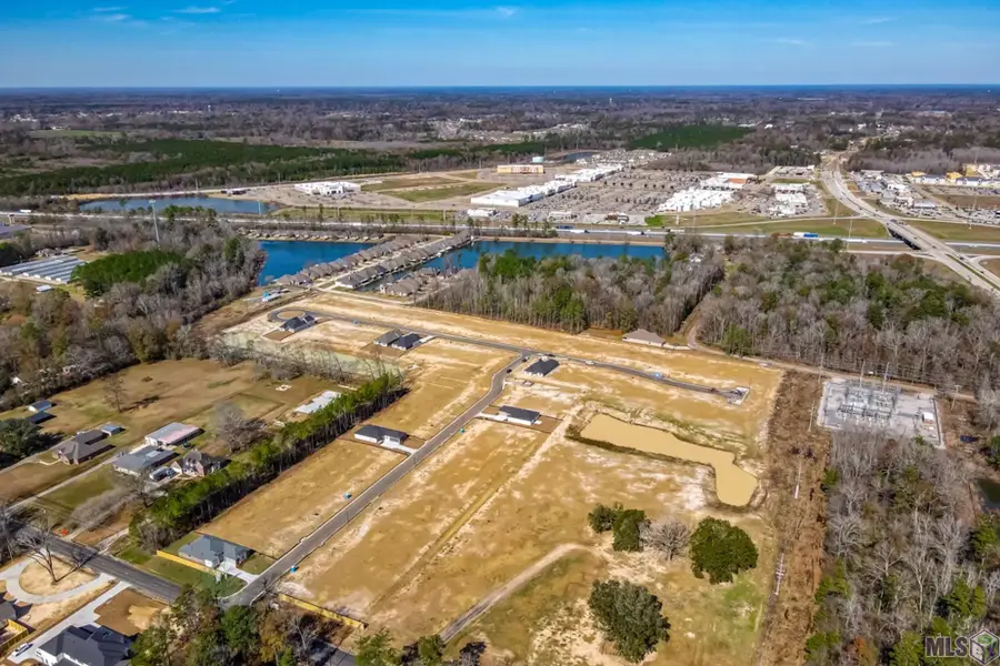 10651 Deric Ave, Denham Springs, LA 70726 - #3