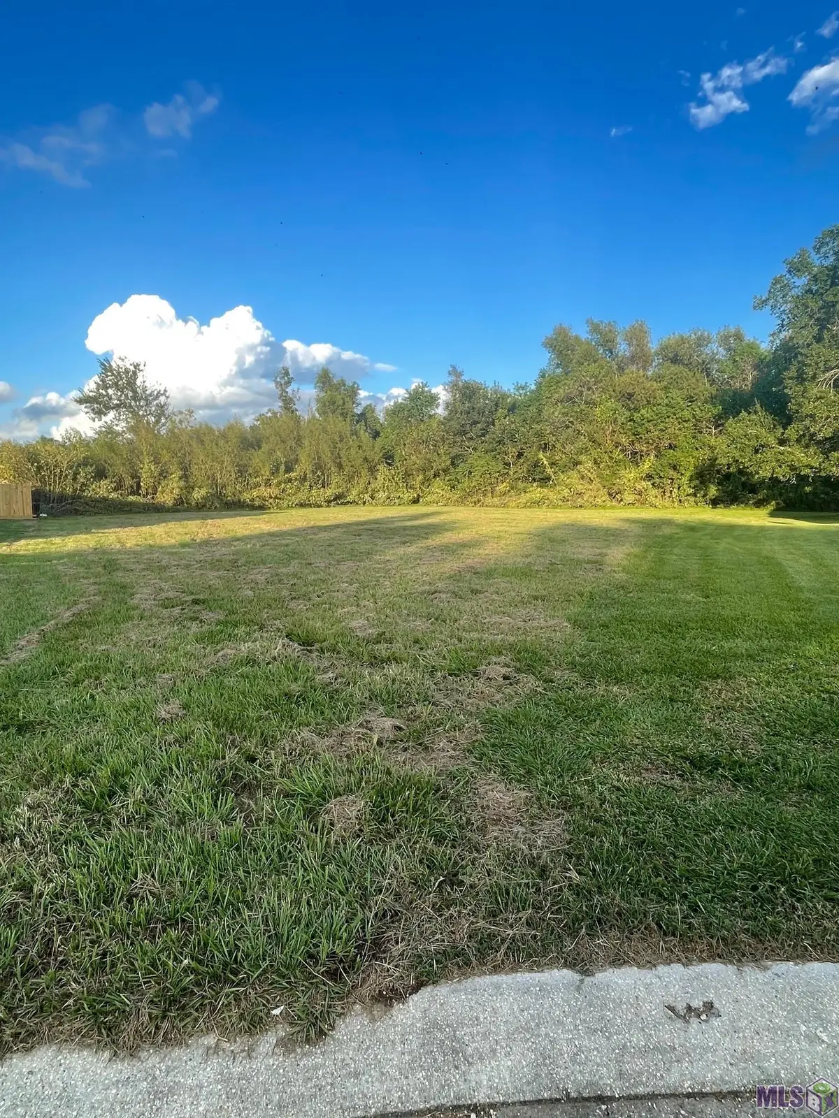 784 Emma Dr, Reserve, LA 70084 - Image #1