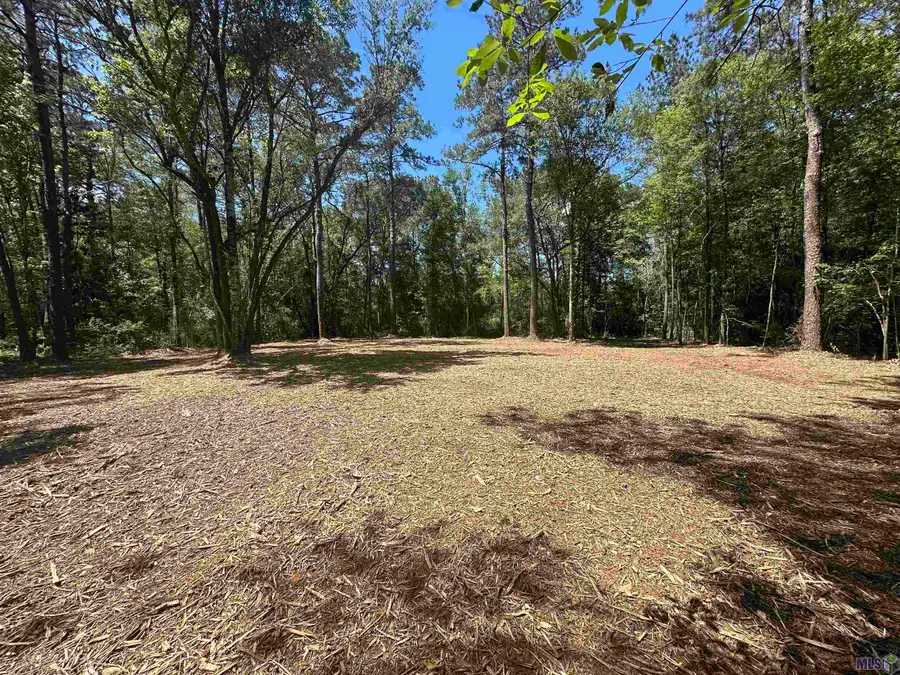 23547 Heritage Acres Ln, Robert, LA 70455 - Image #2
