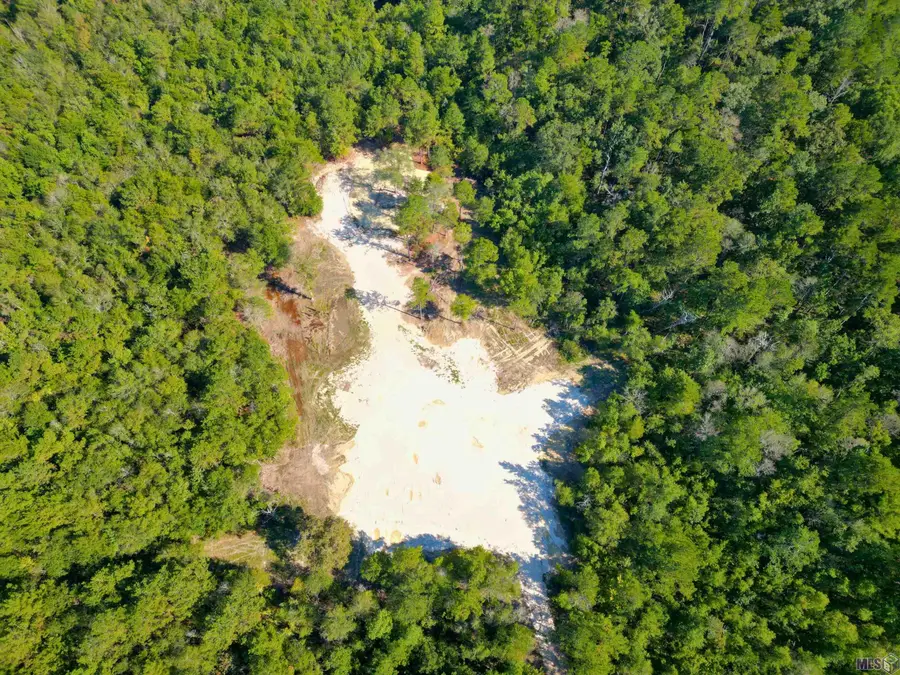 33606 La Hwy 441, Holden, LA 70744 - Image #2