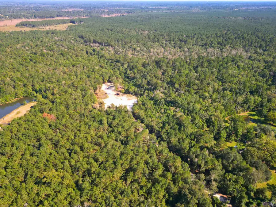 33606 La Hwy 441, Holden, LA 70744 - Image #3