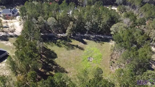 137 Burkett Ln, Denham Springs, LA 70706