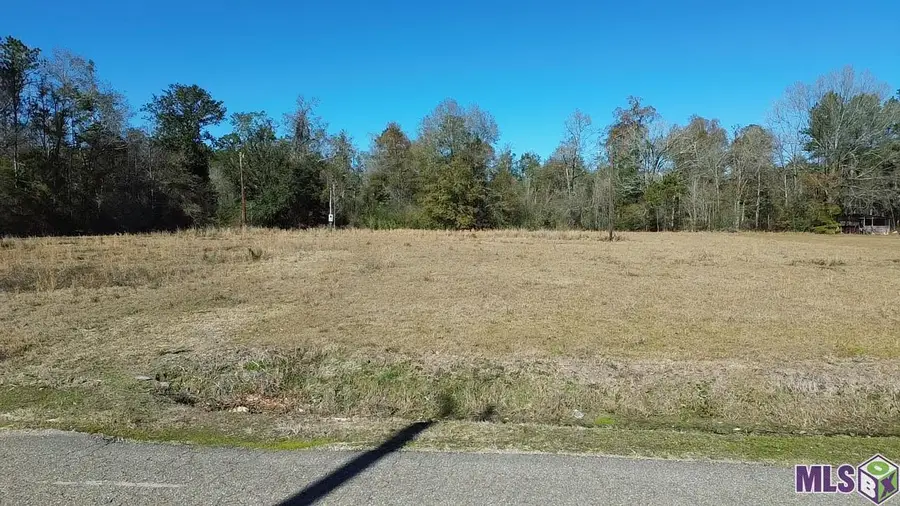 28519 N Horseshoe Rd, Independence, LA 70443 - Image #2