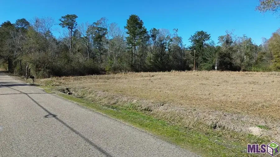 28519 N Horseshoe Rd, Independence, LA 70443 - Image #3