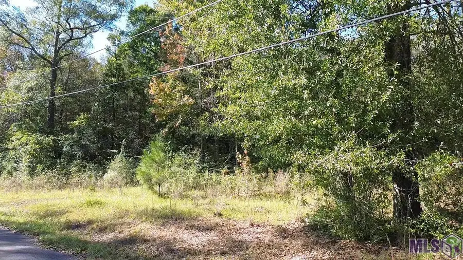 17400 Carroll Rd, Bogalusa, LA 70427 - Image #2