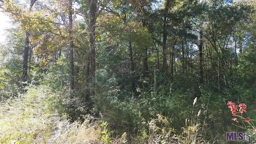 17400 Carroll Rd, Bogalusa, LA 70427 - Image #3