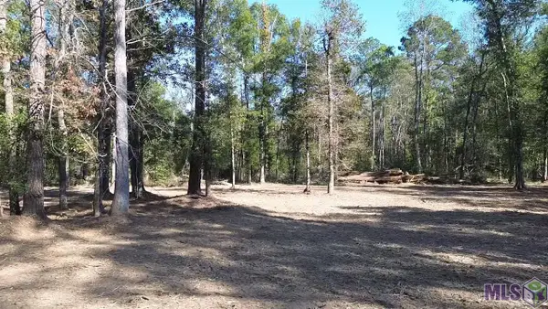 290 Westmoreland Ln, Montpelier, LA 70422