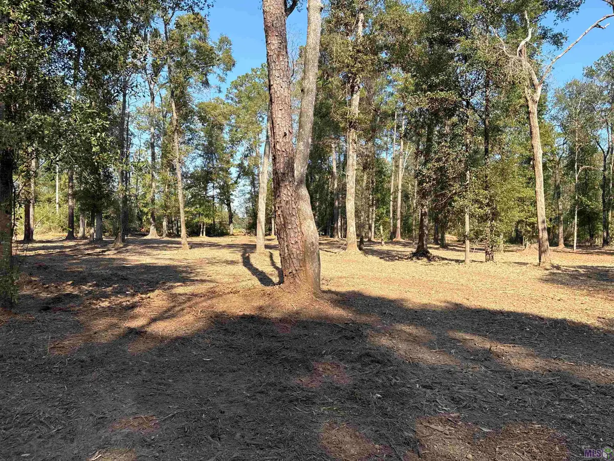 334 Westmoreland Ln, Montpelier, LA 70422 - Image #1