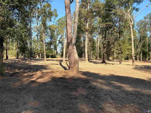 334 Westmoreland Ln, Montpelier, LA 70422