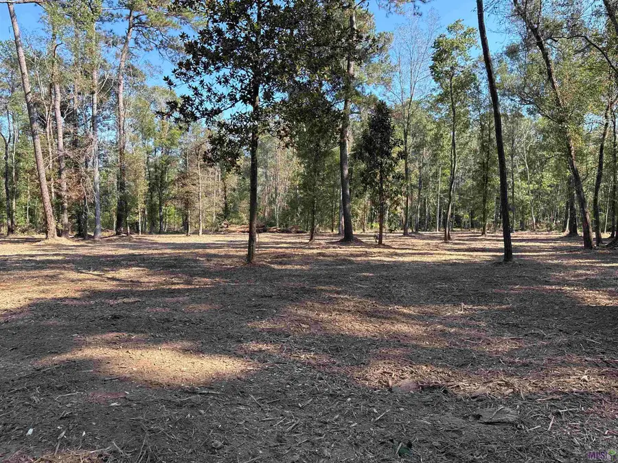 372 Westmoreland Ln, Montpelier, LA 70422 - Image #2