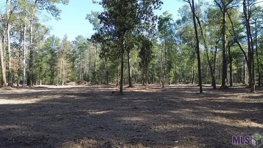 372 Westmoreland Ln, Montpelier, LA 70422 - Image #3