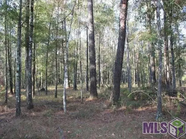 28545 Coker Vail Rd, Holden, LA 70744 - Image #1