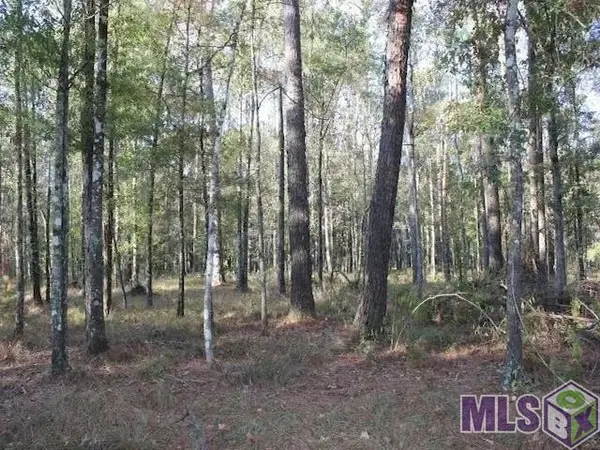 28545 Coker Vail Rd, Holden, LA 70744