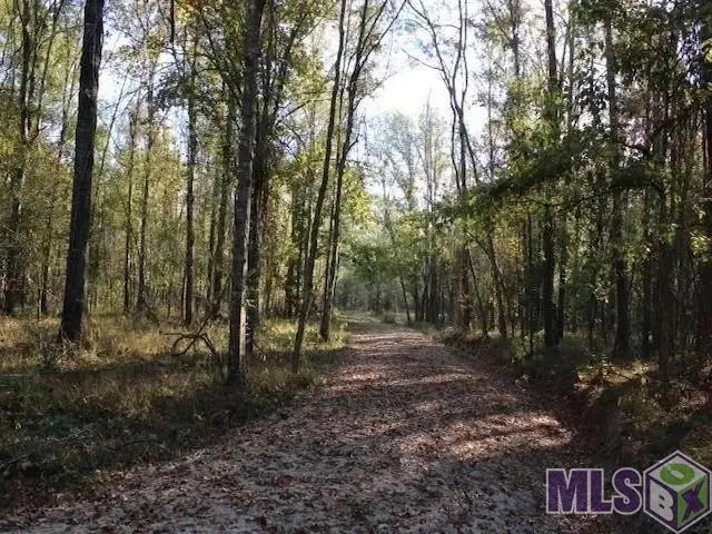 28545 Coker Vail Rd, Holden, LA 70744 - Image #3