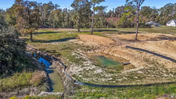 17177 La Hwy 933, Prairieville, LA 70769