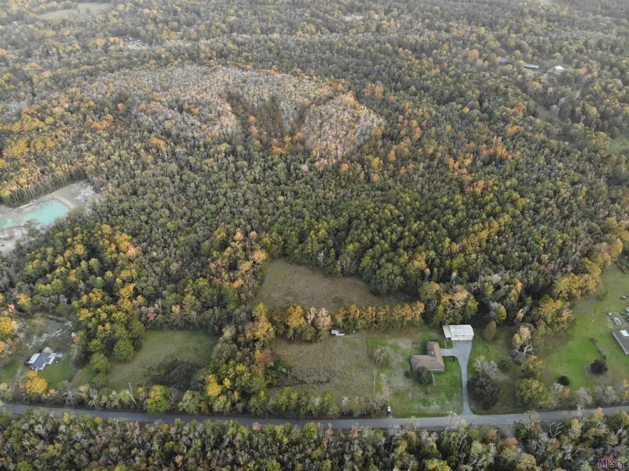 27+- Acres Hillon Hood Rd, Denham Springs, LA 70726 - Image #2